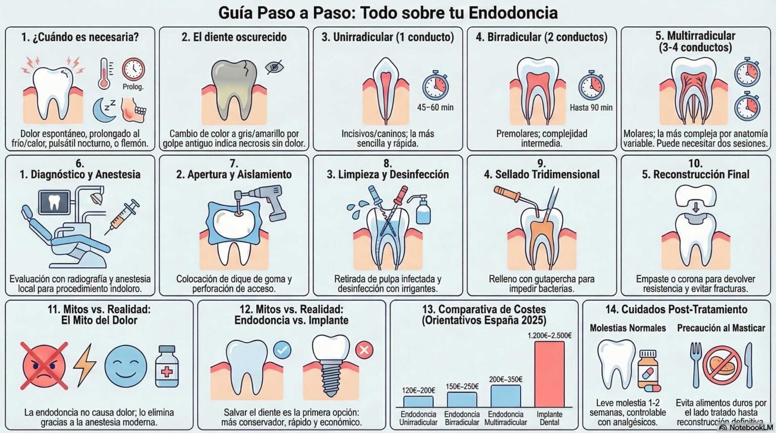 Infografía - Guia completa sobre la endodoncia