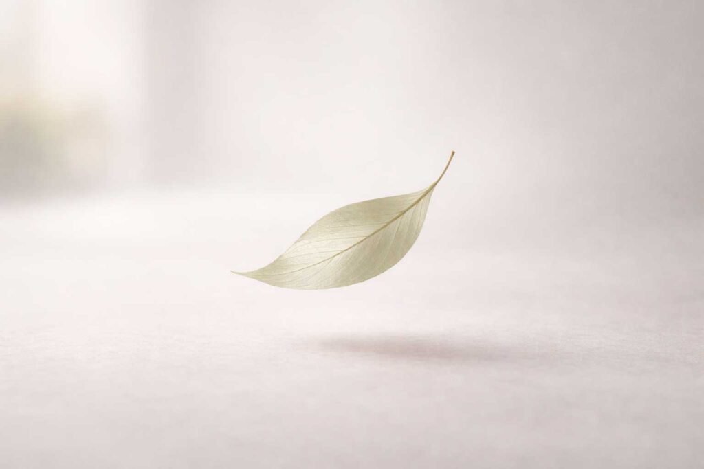 Extracción dental Extracción dental