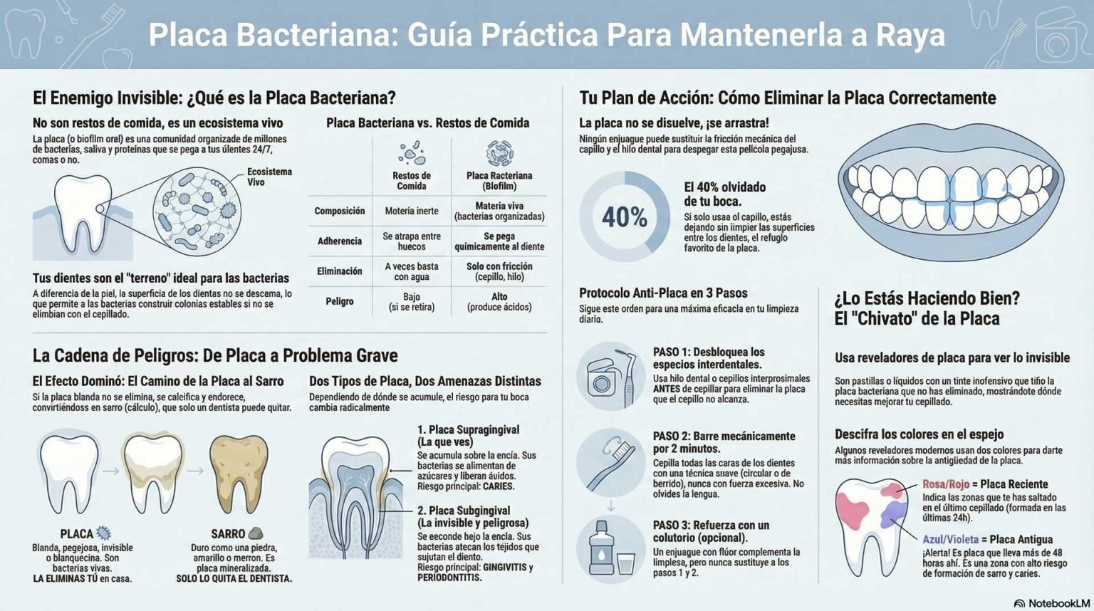 Infografia sobre la placa dental